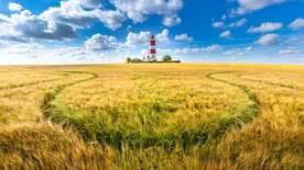 风景