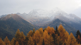 风景