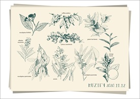 10款入植物素描画