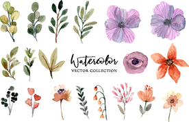 水彩花卉