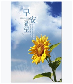 早安无水印可编辑海报