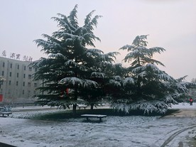 校园雪景