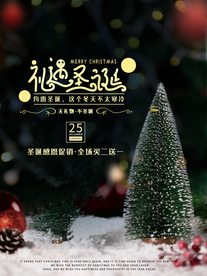 圣诞节展板