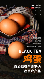 红皮鸡蛋美食宣传活动海报素材