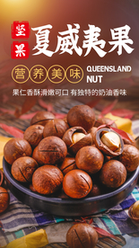 夏威夷果坚果宣传活动海报素材