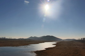 阳光下的一滩水