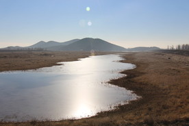 阳光下的一潭水