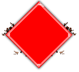 新年海报背景元素PNG素材