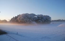 风景
