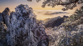 风景