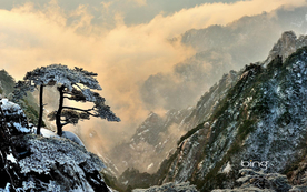 风景