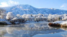 风景