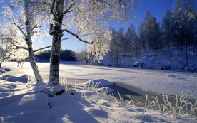 风景雪景