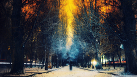 风景雪景
