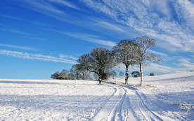 风景雪景