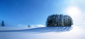 风景 雪景