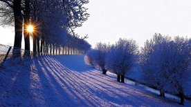 风景 雪景