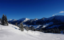 风景 雪景