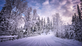 风景 雪景