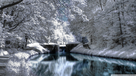 风景 雪景