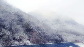 风景 雪景