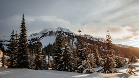 风景 雪景