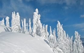风景 雪景