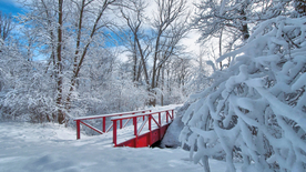 风景 雪景