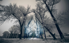 风景 雪景