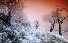 风景 雪景