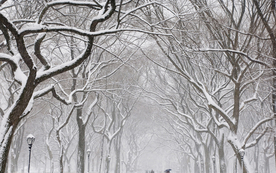 风景 雪景