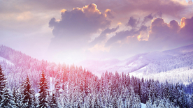 风景 雪景