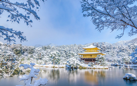 风景