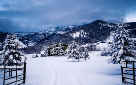 风景 雪景