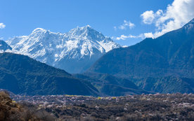 风景