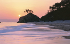 风景