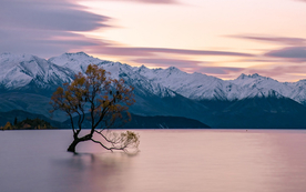 风景