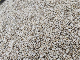 杂粮 薏米 超市素材 粗粮