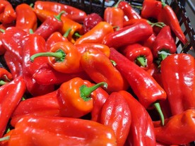 辣椒 超市