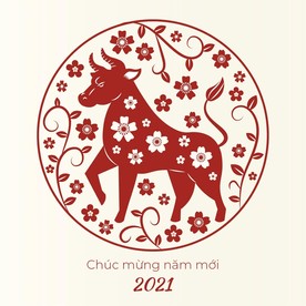 牛 新年展板背景