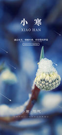 小寒