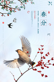 春分节气传统活动宣传海报素材