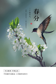 春分节气传统活动宣传海报素材