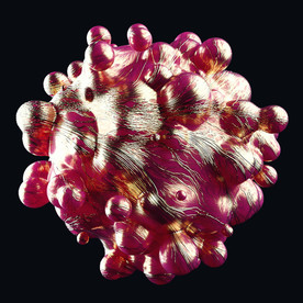 C4D 模型 细胞细菌生物病毒