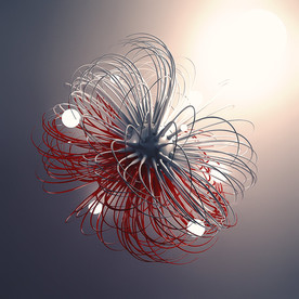 C4D 模型 细胞细菌线触角须