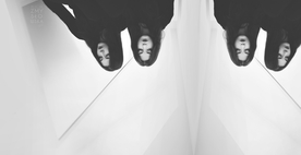 动物 宠物 狗 猫