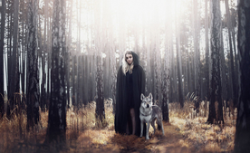 动物 宠物 狗 猫