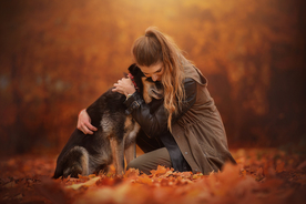 动物 宠物 狗 猫