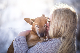 动物 宠物 狗 猫