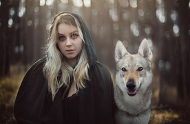 动物 宠物 狗 猫